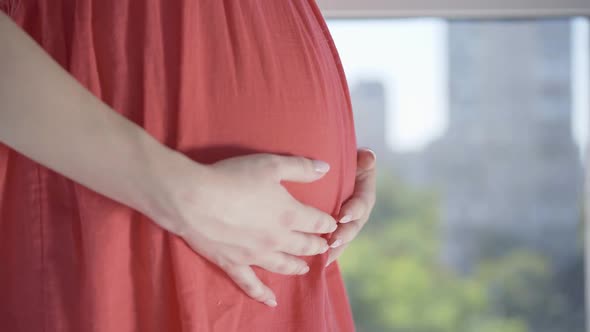 Side View of Unrecognizable Pregnant Woman Caressing Tummy. Close-up of Young Caucasian Future