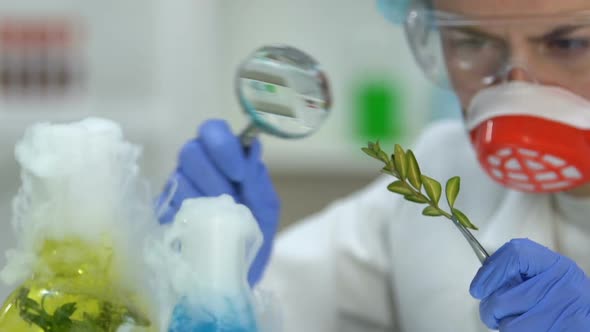 Female Biologist Examining Plant Sample, Cosmetology Laboratory Researches