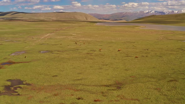 Bayinbuluku grassland and mountains