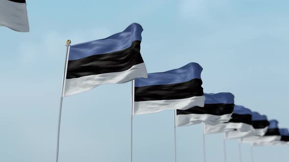 Estonia  Row Of Flags A