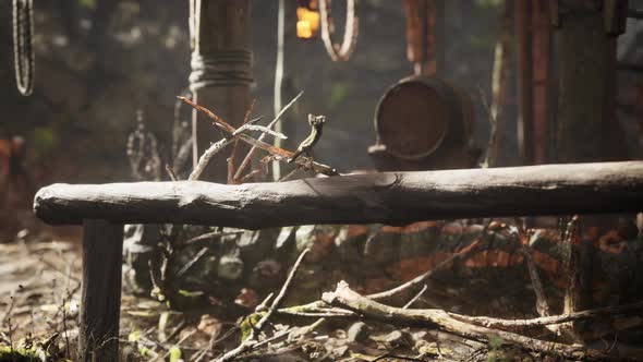 Old Retro Village in Pine Forest alt