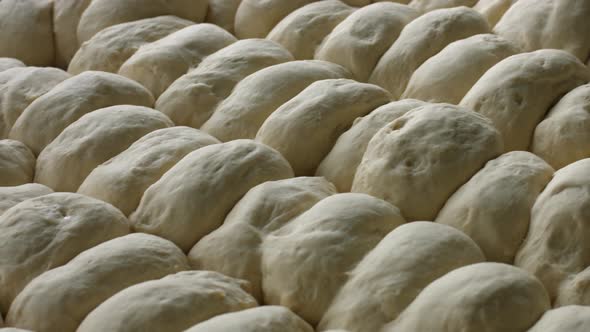 Yeast Dough. Buns From Dough