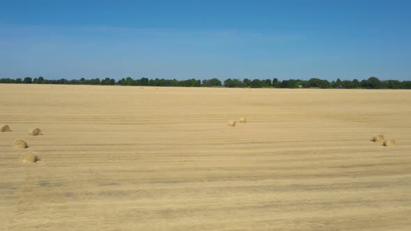 Round Hay Bales At The Field 8