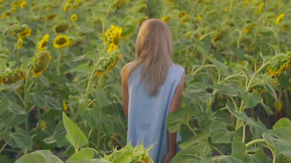 Young Attractive Blond Woman Walking in a Field of Sunflowers Turning Around and Looking in the