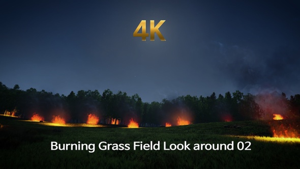 Burning Grass Field Look Around 02