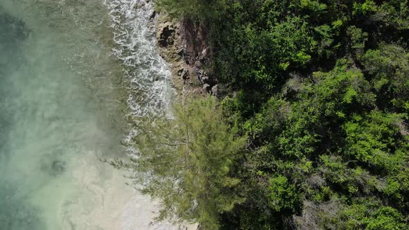 Coast of Zanzibar Island Tanzania Covered with Thickets