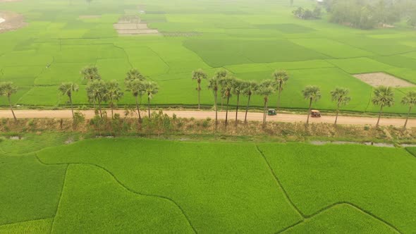 Aerial view of an agricultural field in Gabtali, Rajshahi state, Bangladesh.