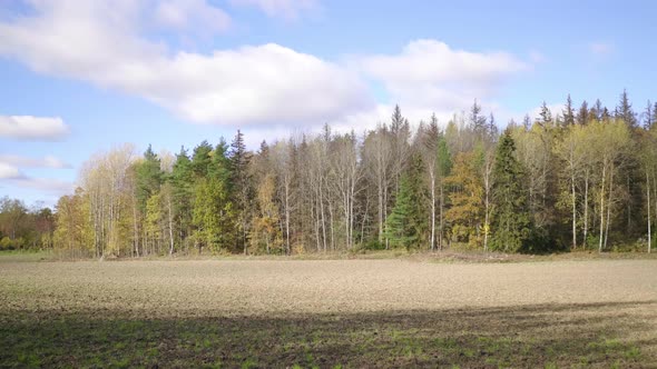 view of countryside Rural Field and trees