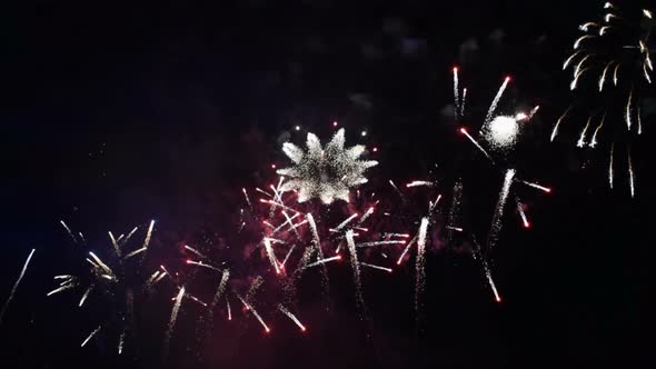 Firework