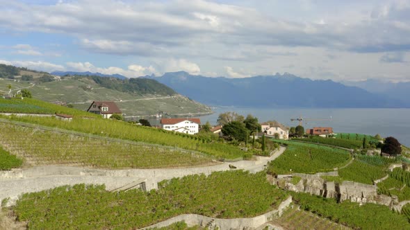 Drone reveal shot of the village of Cully and Lake Leman, Lavaux - SwitzerlandPartly cloudy day