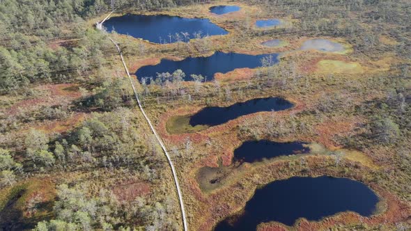 Drone aerial view to Estonian bog