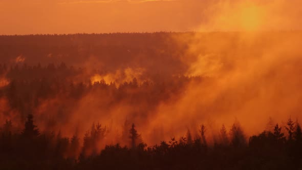 Beautiful Red Sunset in Summer From Above in the Forest with Fog