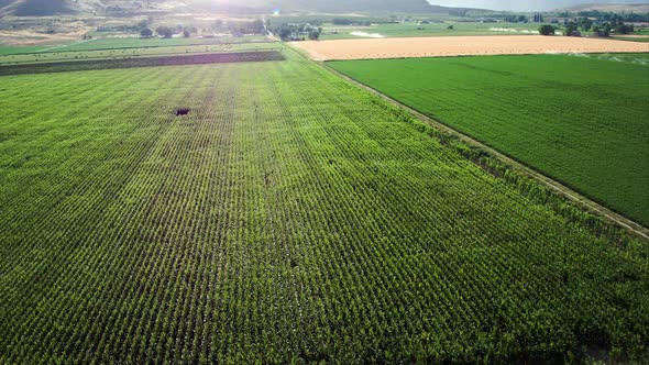 Flying over farmland viewing fields