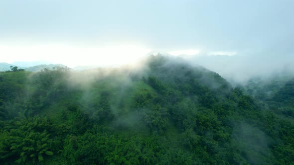 4K Aerial Drone shot flying over beautiful mountain ridge in rural jungle bush forest.