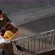 Woman delivering vegetable and fruit - VideoHive Item for Sale