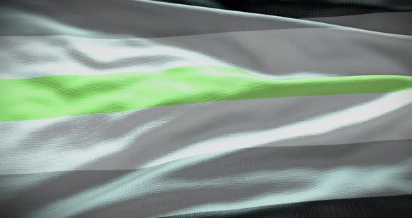 Agender waving flag looped 4K