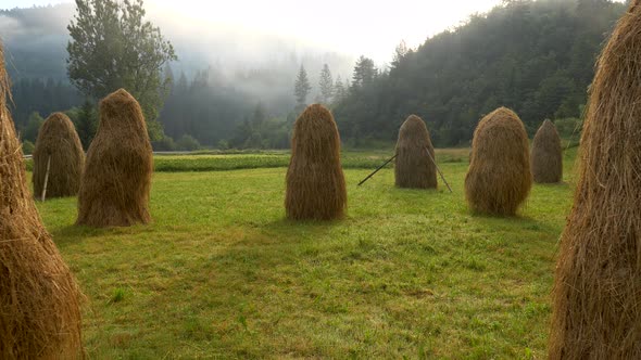 Nature Landscape with Hay Sheaves on Cut Grass, Stocks for the Winter, Village Ecotourism 