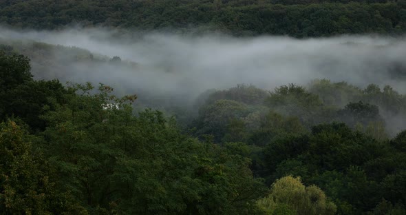 Fog over the forest in the mountains. Time lapse.