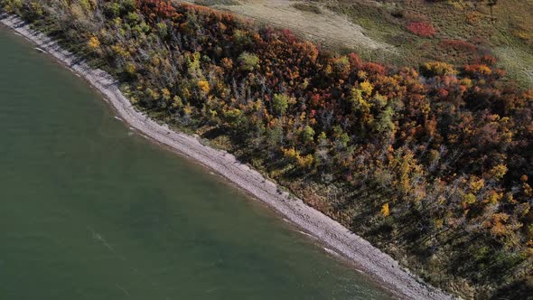 Colourful autumn foliage along shoreline of Buffalo Lake in Canada. Slowly descending aerial footage