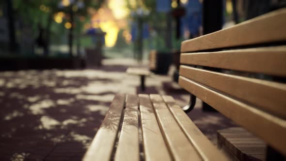 Quiet City Park with Trees and Benches