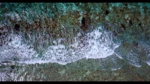 Aerial flying over sky of idyllic coast beach wildlife by aqua blue water with white sandy backgroun