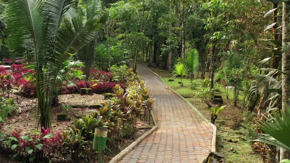 Slowly following a paved pedestrian path that runs through a tropical garden alongside a small river