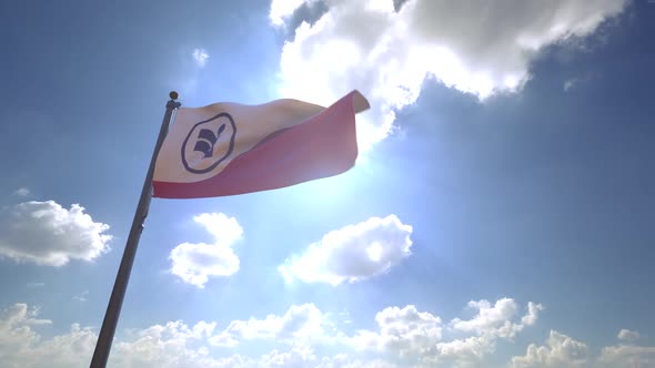 Irving City Flag (Texas) on a Flagpole V4