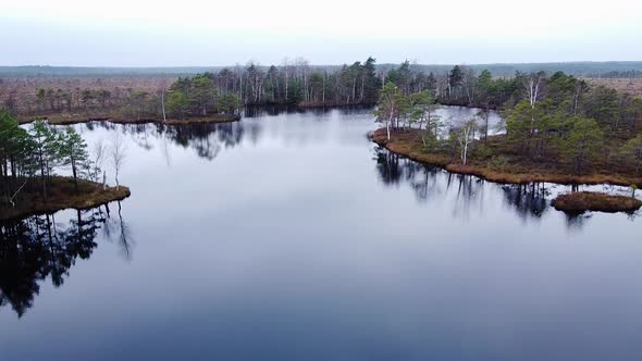 Aerial birdseye view of Dunika peat bog (mire) with small ponds in overcast autumn day, wide angle a