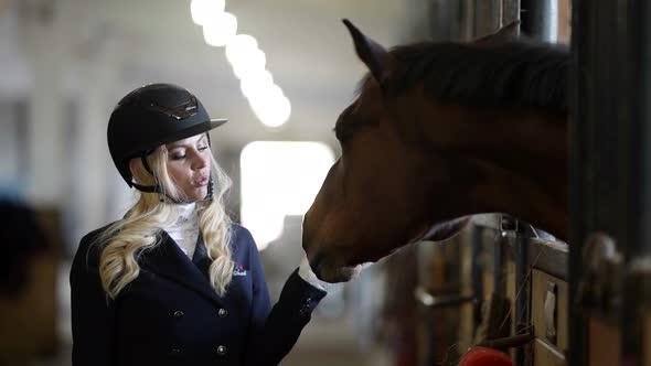 Young Pretty Woman is Dressed Like Jockey is Communicating with Brown Horse in Stable