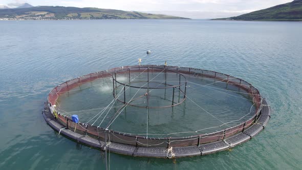 A Salmon Fish Farm in Scotland Providing Aquaculture for Food Markets