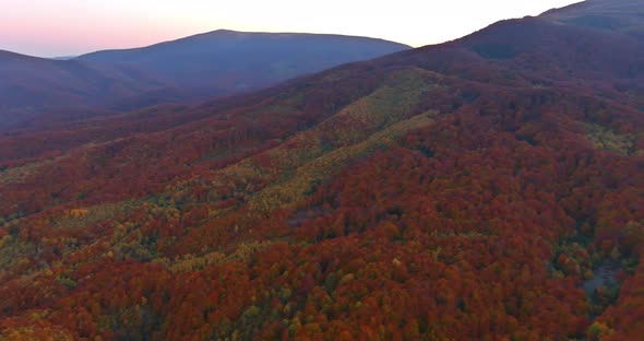 Beauty Amazing Mountain Landscape with Vivid on the Colorful Autumn Forest