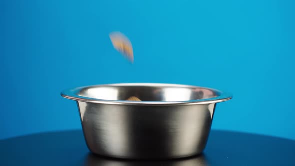 Pouring Dry Dog Food Into Metal Bowl Closeup