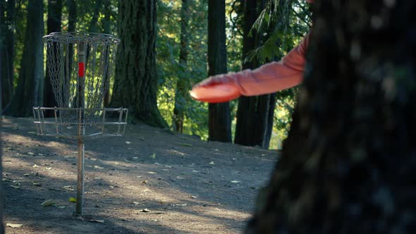 Throwing Disc Into Frisbee Golf Basket In The Woods