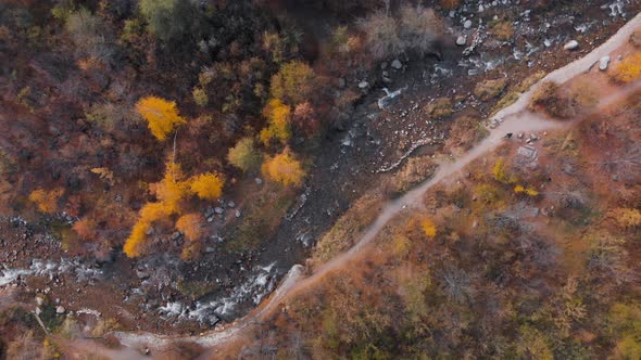 Aerial View of Cyclist Mountain River Landscape of Autumn Forest