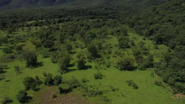An aerial view of the lush wilderness in the Brazilian savannah in its natural condition