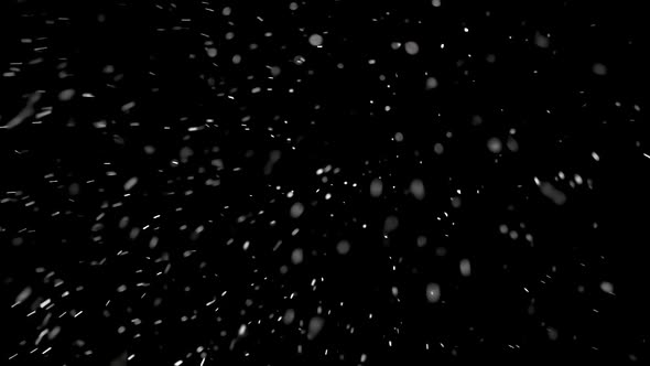 It is Snowing in Cold Winter, Beautiful Real Snow Falls on Black Background