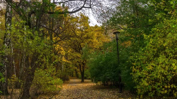 Evening in the autumn park.