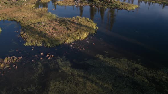 Looking down at lake while rising above trees