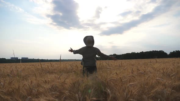 Follow To Happy Young Agronomist Raising Hands While Running Through Wheat Field. Unrecognizable