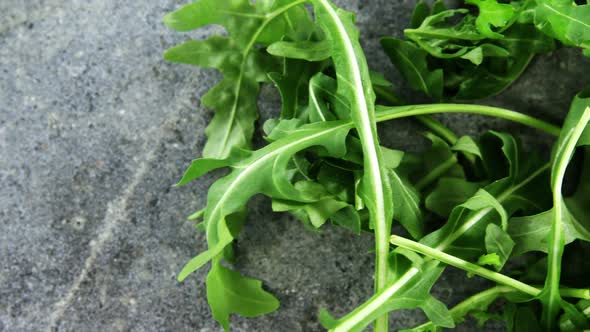 Arugula on concrete