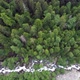 River and Woods - VideoHive Item for Sale