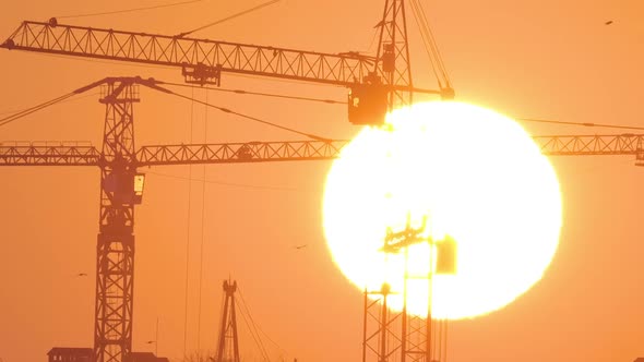 Dark Silhouette of Tower Cranes with Big Setting Sun at High Residential Apartment Buildings