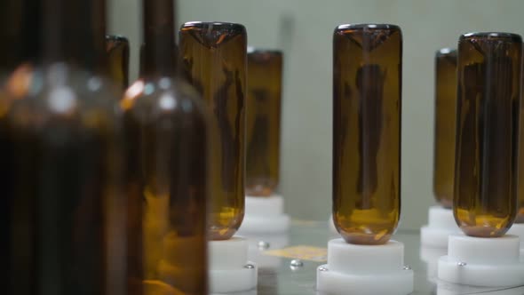 Empty Wine Bottles on the Washing Conveyor