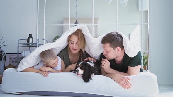 Loving Family Little Son Boy European Appearance Lie Bed Cozy Modern Room with Their Beloved Dog