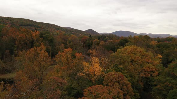 An aerial shot of the colorful fall foliage on a cloudy day in upstate NY. The camera dolly in over