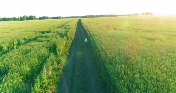 Aerial View on Young Boy, That Rides a Bicycle Thru a Wheat Grass Field on the Old Rural Road