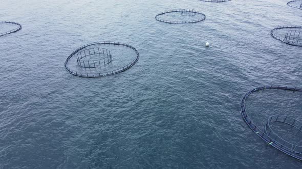 Aquaculture Fish Farm in Sea for Providing Farmed Fish Produce for Market