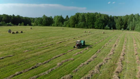 Agricultural Machinery Collects Dry Straw in Rolls and Round Large Bales