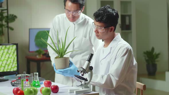 Medical Team Researchers Analyzing Botany Expertise On Computer Discovering Genetic Mutation