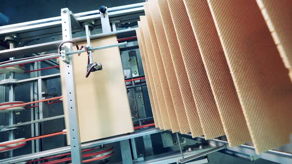 Waffle Layers Are Getting Transported By a Factory Machine